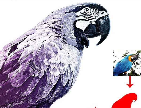 Realistic Line Drawing Photoshop Action
